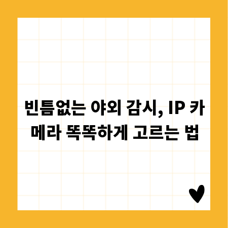 빈틈없는 야외 감시, IP 카메라 똑똑하게 고르는 법
