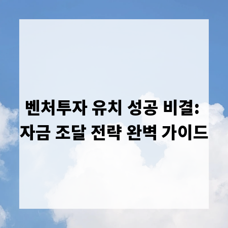벤처투자 유치 성공 비결: 자금 조달 전략 완벽 가이드