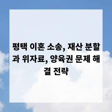 평택 이혼 소송, 재산 분할과 위자료, 양육권 문제 해결 전략