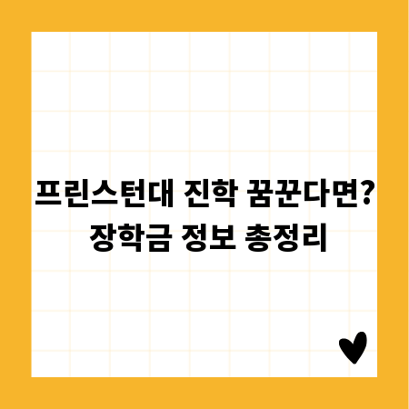 프린스턴대 진학 꿈꾼다면? 장학금 정보 총정리