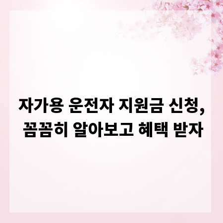자가용 운전자 지원금 신청, 꼼꼼히 알아보고 혜택 받자