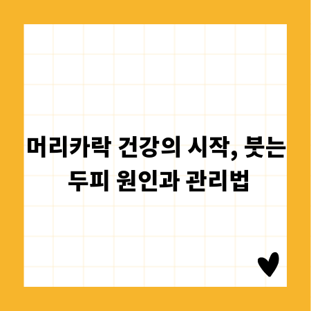 머리카락 건강의 시작, 붓는 두피 원인과 관리법