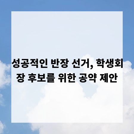 성공적인 반장 선거, 학생회장 후보를 위한 공약 제안