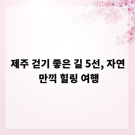 제주 걷기 좋은 길 5선, 자연 만끽 힐링 여행
