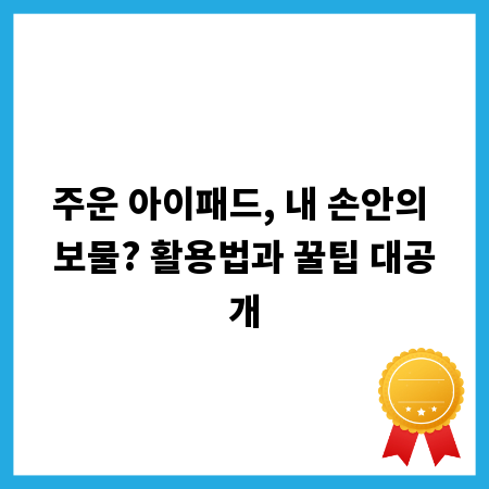 주운 아이패드, 내 손안의 보물? 활용법과 꿀팁 대공개