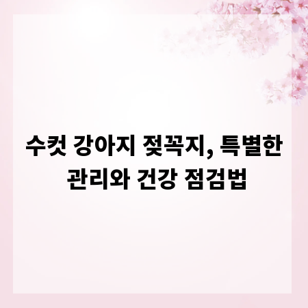 수컷 강아지 젖꼭지, 특별한 관리와 건강 점검법