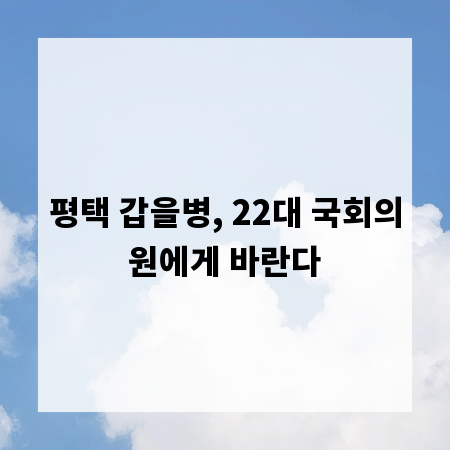 평택 갑을병, 22대 국회의원에게 바란다