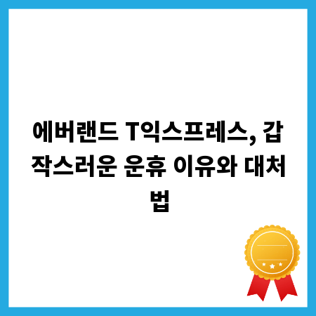 에버랜드 T익스프레스, 갑작스러운 운휴 이유와 대처법