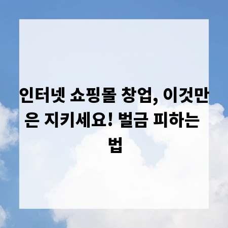 인터넷 쇼핑몰 창업, 이것만은 지키세요! 벌금 피하는 법