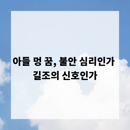 아들 멍 꿈, 불안 심리인가 길조의 신호인가