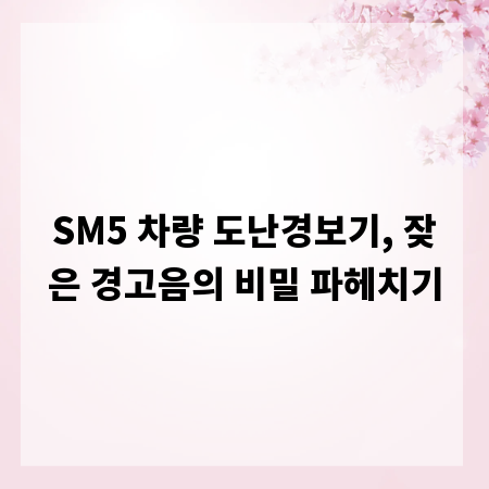 SM5 차량 도난경보기, 잦은 경고음의 비밀 파헤치기
