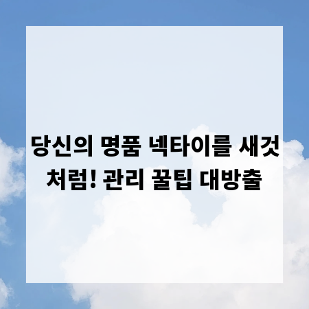 당신의 명품 넥타이를 새것처럼! 관리 꿀팁 대방출