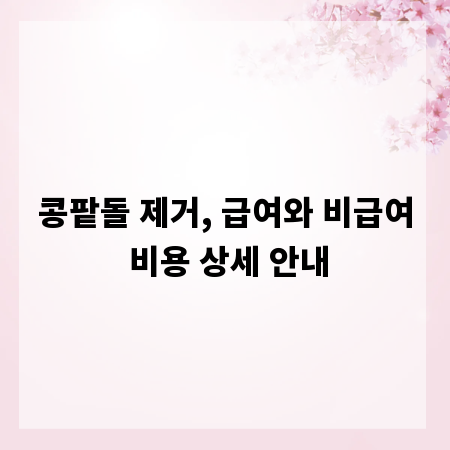 콩팥돌 제거, 급여와 비급여 비용 상세 안내