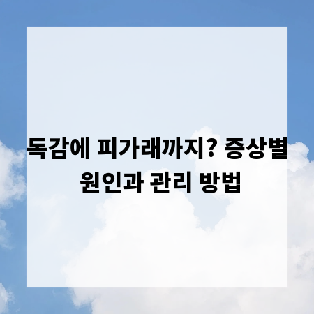 독감에 피가래까지? 증상별 원인과 관리 방법