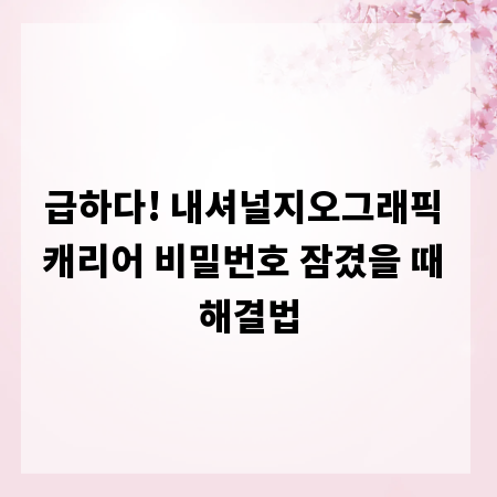 급하다! 내셔널지오그래픽 캐리어 비밀번호 잠겼을 때 해결법