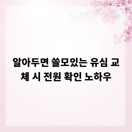 알아두면 쓸모있는 유심 교체 시 전원 확인 노하우