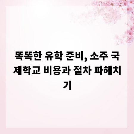 똑똑한 유학 준비, 소주 국제학교 비용과 절차 파헤치기