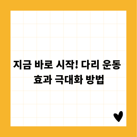 지금 바로 시작! 다리 운동 효과 극대화 방법