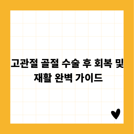 고관절 골절 수술 후 회복 및 재활 완벽 가이드