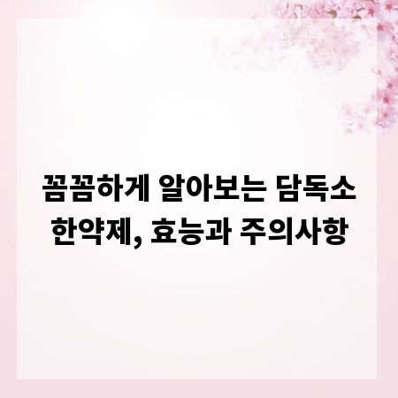 꼼꼼하게 알아보는 담독소한약제, 효능과 주의사항