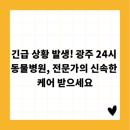 긴급 상황 발생! 광주 24시 동물병원, 전문가의 신속한 케어 받으세요