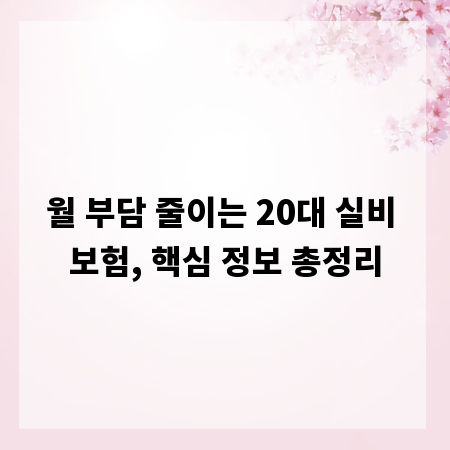 월 부담 줄이는 20대 실비 보험, 핵심 정보 총정리