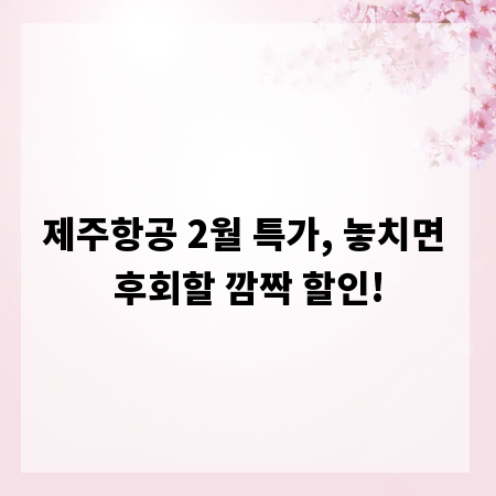제주항공 2월 특가, 놓치면 후회할 깜짝 할인!
