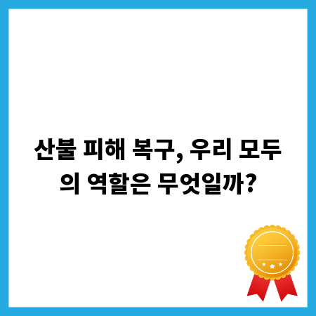 산불 피해 복구, 우리 모두의 역할은 무엇일까?
