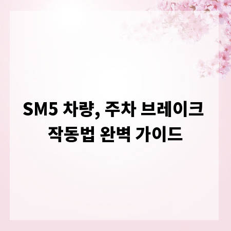 SM5 차량, 주차 브레이크 작동법 완벽 가이드