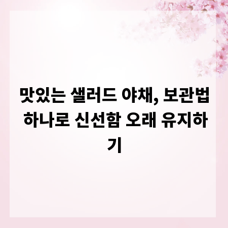 맛있는 샐러드 야채, 보관법 하나로 신선함 오래 유지하기