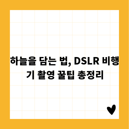 하늘을 담는 법, DSLR 비행기 촬영 꿀팁 총정리