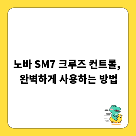 노바 SM7 크루즈 컨트롤, 완벽하게 사용하는 방법