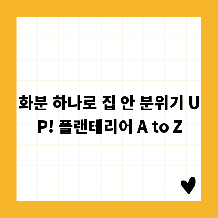 화분 하나로 집 안 분위기 UP! 플랜테리어 A to Z