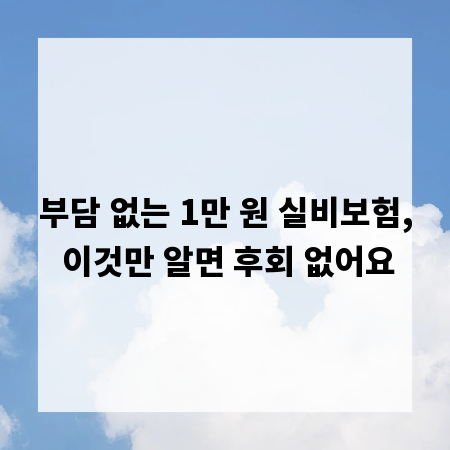 부담 없는 1만 원 실비보험, 이것만 알면 후회 없어요