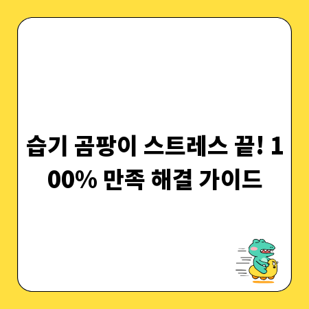 습기 곰팡이 스트레스 끝! 100% 만족 해결 가이드