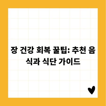 장 건강 회복 꿀팁: 추천 음식과 식단 가이드