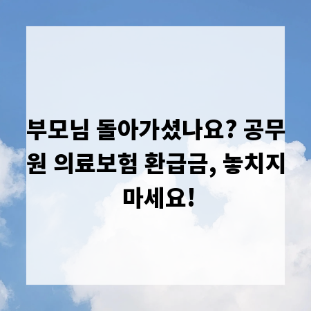 부모님 돌아가셨나요? 공무원 의료보험 환급금, 놓치지 마세요!