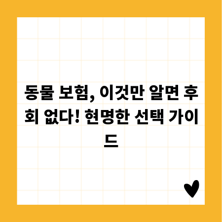 동물 보험, 이것만 알면 후회 없다! 현명한 선택 가이드