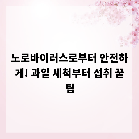 노로바이러스로부터 안전하게! 과일 세척부터 섭취 꿀팁