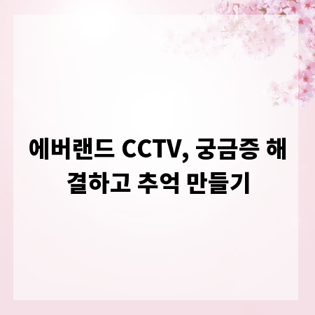 에버랜드 CCTV, 궁금증 해결하고 추억 만들기