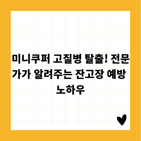 미니쿠퍼 고질병 탈출! 전문가가 알려주는 잔고장 예방 노하우