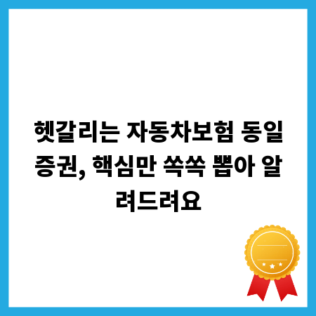 헷갈리는 자동차보험 동일증권, 핵심만 쏙쏙 뽑아 알려드려요