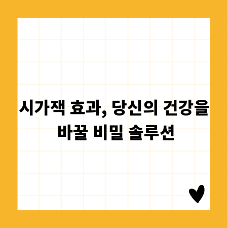 시가잭 효과, 당신의 건강을 바꿀 비밀 솔루션