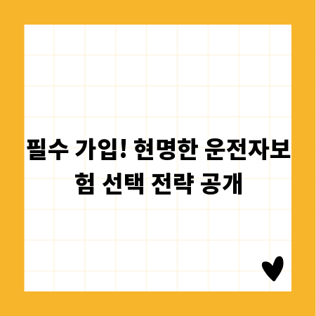 필수 가입! 현명한 운전자보험 선택 전략 공개