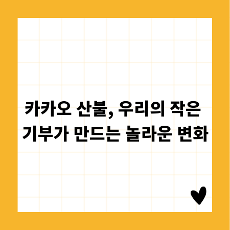 카카오 산불, 우리의 작은 기부가 만드는 놀라운 변화