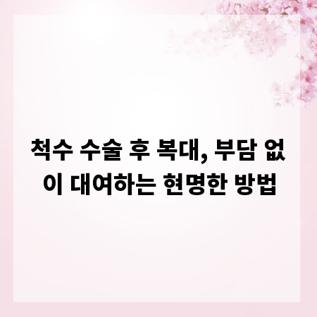 척수 수술 후 복대, 부담 없이 대여하는 현명한 방법