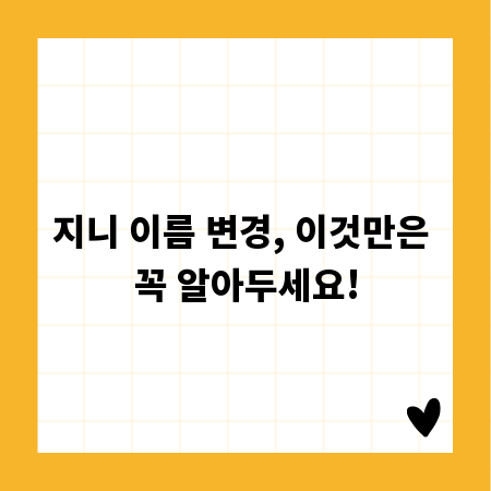 지니 이름 변경, 이것만은 꼭 알아두세요!