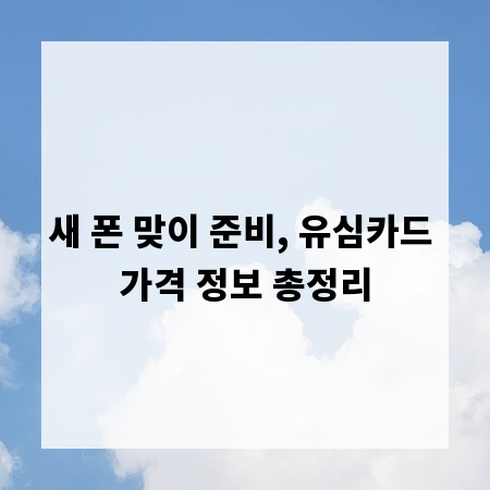 새 폰 맞이 준비, 유심카드 가격 정보 총정리
