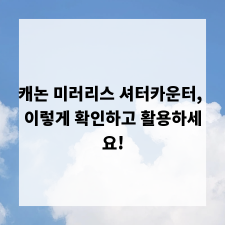 캐논 미러리스 셔터카운터, 이렇게 확인하고 활용하세요!