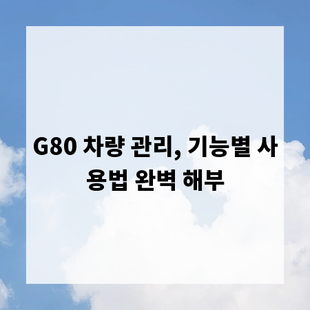 G80 차량 관리, 기능별 사용법 완벽 해부